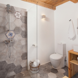 Luxus Miet Villa Flavia - Čepljani  - Istrien