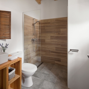 Luxus Miet Villa Flavia - Čepljani  - Istrien